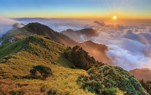 Screenshot 2026-01-08 135824